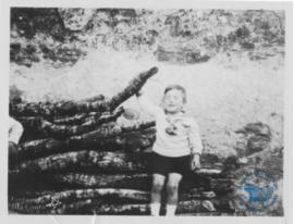 Niño sentado en unos troncos en una playa