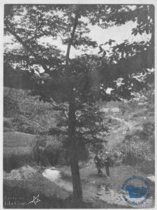 Dos hombres posando al lado de un árbol